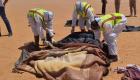 وفاة 27 مهاجرا "ماتوا من العطش" في صحراء تشاد