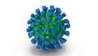 Qu’est-ce que le «virus du chameau», coronavirus qui aurait infecté des joueurs ?