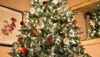 تاريخ شجرة الكريسماس.. حكاية "الفراعنة والألمان ومارتن لوثر كينج"