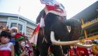 الأفيال توزع هدايا عيد الميلاد في تايلاند (صور)