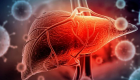 Bilim insanları açıkladı: Karaciğer yağlanmasına dikkat! Beyin hücreleri zarar görüyor