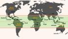 أماكن زراعة البن في العالم.. 7 دول منتجة للقهوة تضبط مزاج العالم