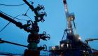 L’interdiction par la Russie de vendre le pétrole russe n’aura pas de « signification pratique », selon l'Allemagne 