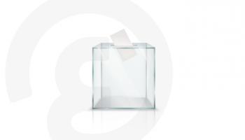  ٢٠٢٢ رفعت ساسة لدائرة الضوء وأخرجت آخرين من المنافسة