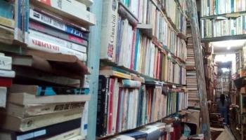 صورة لأرفف مكتبة نهج إنجلترا