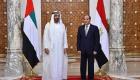 مصر تثمن نجاح القوات الإماراتية في التصدي لإرهاب الحوثي