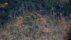 ویدئو | جنگل‌های کلمبیا در آتش‌سوزی گسترده آمازون سوختند 