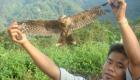 ویدئو | مرکزی در دهلی نو که هزاران پرنده شکاری زخمی را نجات داده است 