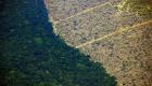 رشد ۵ برابری جنگل‌زدایی در آمازون در سایه بی‌توجهی دولت برزیل