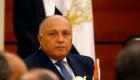 وزير الخارجية المصري يتحدث عن جهود السيسي بملف "سدالنهضة"