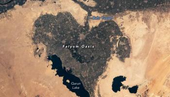واحة الفيوم 