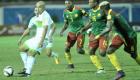 Algérie/Cameroun : Les verts joueront-ils au Japoma stadium? 