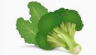 Brokolinin Faydaları Nelerdir? 