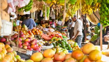 العالم يطرح الأجندة الغذائية في إكسبو 2020 دبي
