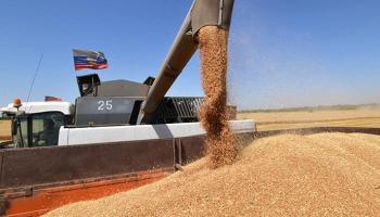 Al-Ain News'ten çarpıçı anket: 692 milyar ekmek heder olacak!