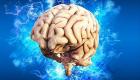 Bilim insanları, ölen bir insanın beyin aktivitelerini görüntüledi!