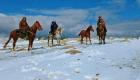 أحصنة وفرسان بالقشابية وسط الثلوج.. صور تثير دهشة الجزائريين
