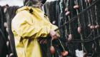 Grande-Bretagne/ Hausse du gasoil : les pêcheurs bretons tirent la sonnette d'alarme