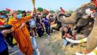 برگزاری جشن میوه به افتخار فیل‌ها در تایلند