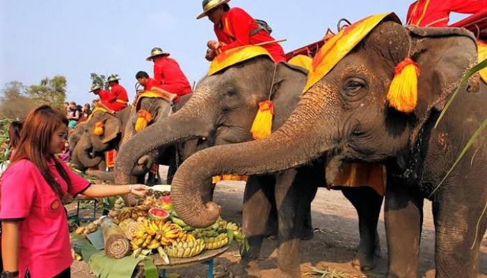 Tayland.. Filler, 'Fil Günü'nü, açık meyve büfesiyle kutladı!