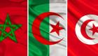 Guerre en Ukraine/Céréales : comment l’Algérie, le Maroc et la Tunisie ont été touchés ?... Une étude nous répond