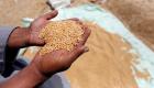 كيف تعاملت مصر مع أزمة واردات القمح؟.. "خطة إنقاذ رغيف العيش"