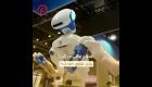 اختراع رباتی در ژاپن برای توزیع «نودل»!