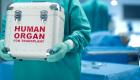 بشرى لأصحاب عمليات زراعة الأعضاء أثناء وباء كورونا: الجراحة آمنة تماما