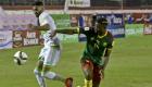 فيديو أهداف مباراة منتخب الجزائر والكاميرون في تصفيات كأس العالم أفريقيا