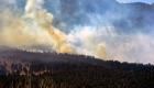 حرائق الغابات تستعر في كولورادو.. إجلاء 19 ألف أمريكي (صور) 