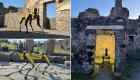 Antik kent Pompeii robot köpek Spot'a emanet