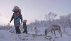 Finlande: l’élevage ancestral des rennes séduit à nouveau les jeunes
