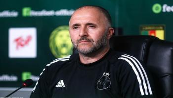 بلماضي، مدرب منتخب الجزائر