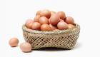 Les bienfaits des œufs sur la santé