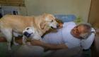 توفيق عبد الحميد مع كلبين في غرفة متواضعة.. صورة هزت عرش الفن في مصر