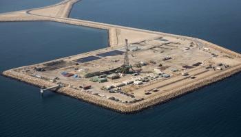 حقل الدرة -أرشيف