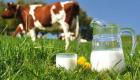 İçme sütü üretimi geriledi
