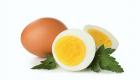 Günde 1 yumurta yediğinizde vücudunuzda neler oluyor?