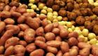 Algérie : Après la banane...Une campagne de boycott de la pomme de terre 