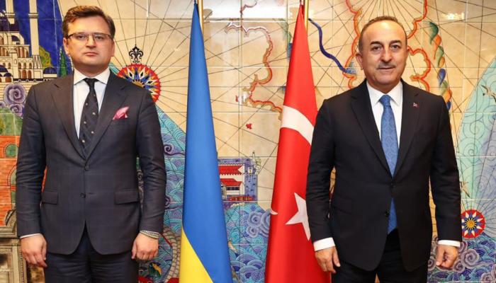 وزيرا خارجية تركيا وأوكرانيا