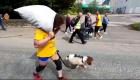 رقابت بین سگ و انسان  در مسابقات جهانی حمل زغال سنگ
