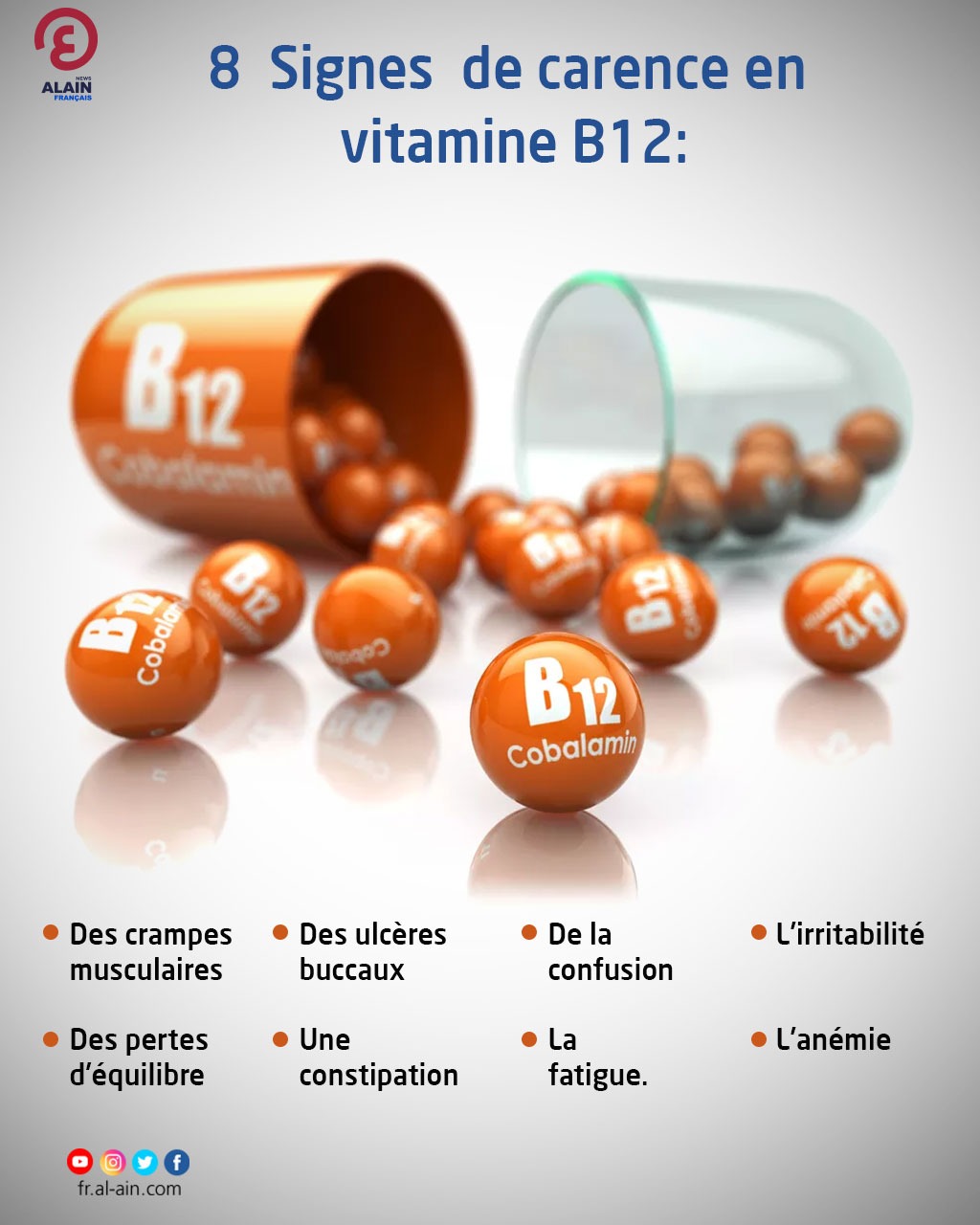 kosten Bachelor opleiding stout 8 signes de carence en vitamine B12