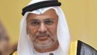 المستشار الدبلوماسي لرئيس الإمارات يضع الحلول للوقاية من الأزمات الكبرى