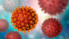 France/coronavirus : près d'un million de possibles réinfections