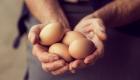ماذا يحدث للجسم عند التوقف عن تناول البيض؟