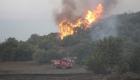 Manisa'da çıkan orman yangınında 1 hektar alan zarar gördü