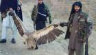 شکار غیرمجاز در افغانستان ۵۷ گونه پرنده را به انقراض نزدیک کرده است