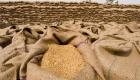 كم يبلغ المخزون الاستراتيجي من القمح في مصر؟