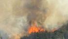 İzmir’in iki ilçesinde orman yangını!