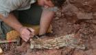 86 milyon yıl önce yaşamış ‘Ölüm Ejderhası’na ait fosil kalıntılar bulundu
